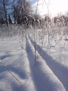 Johtajuusvalmennus Jyväskylä, Psykologi Jyväskylä kokemuksia, Hyvä terapeutti Jyväskylä, Terapia kokemuksia Jyväskylä, Psykologi hinta Jyväskylä, Terapia Jyväskylä, henkisyys psykologi, henkinen psykologi, henkinen kasvu, kehollisuus psykologi