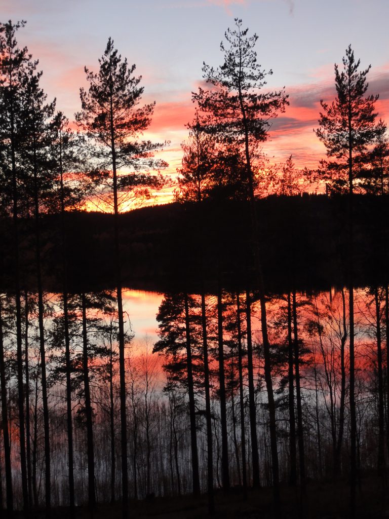 Psykologi Jyväskylä, Ekopsykologi, Psykologi hinta Jyväskylä, Terapiaan Jyväskylässä, henkisyys psykologi, henkinen psykologi, henkinen kasvu, kehollisuus psykologi, Psykologipalvelu Kestävä mieli, henkinen valmentaja, apua stressiin. henkistä hyvinvointia, henkinen hyvinvointi, tietoinen läsnäolo