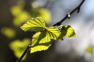 Psykologi kokemuksia, Hyvä psykologi Jyväskylä, Keskusteluapua Jyväskylä, Etäpsykologi, Pariterapia Jyväskylä, Parisuhdeterapia Jyväskylä, psykologi yrityksille Jyväskylä. Henkinen psykologi