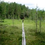 Psykologi Jyväskylässä, Psykologi Jyväskylä, Psykologi Jyväskylä hinnat, Luonnon hyvinvointivaikutukset