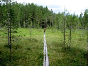 Psykologipalvelu Kestävä mieli, Psykologi Jyväskylä, Keskusteluapua Jyväskylä, terapeutit jyväskylä, Etäpsykologi, Pariterapia Jyväskylä, Hyvä psykologi Jyväskylä, Henkinen psykologi