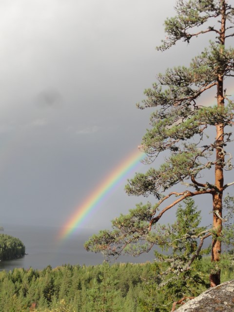 Psykologipalvelu Kestävä Mieli, Psykologi Jyväskylä, Ekopsykologi, Psykologi hinta Jyväskylä, Terapia Jyväskylä, parisuhdeterapia jyväskylä, pariterapia jyväskylä, henkisyys psykologi, henkinen psykologi, henkinen kasvu, kehollisuus psykologi, ympäristöahdistus, nuorten psykologi Jyväskylä, yksityinen psykologi Jyväskylä, lyhytterapia Jyväskylä, henkinen valmentaja, apua stressiin. henkistä hyvinvointia, henkinen hyvinvointi, tietoinen läsnäolo