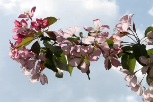 Henkinen valmennus Jyväskylä, Psyykkinen valmennus Jyväskylä, Hyvä psykologi Jyväskylä, Hyvä terapeutti Jyväskylä, Hyvä pariterapeutti Jyväskylä, Parisuhdeterapia Jyväskylä